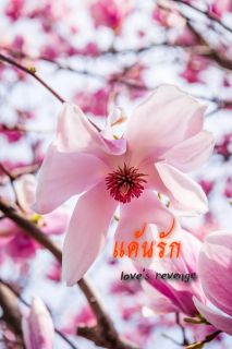 แค้นรัก -loves revenge