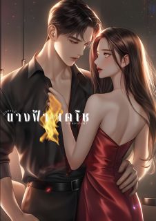 นางฟ้าของเตโช