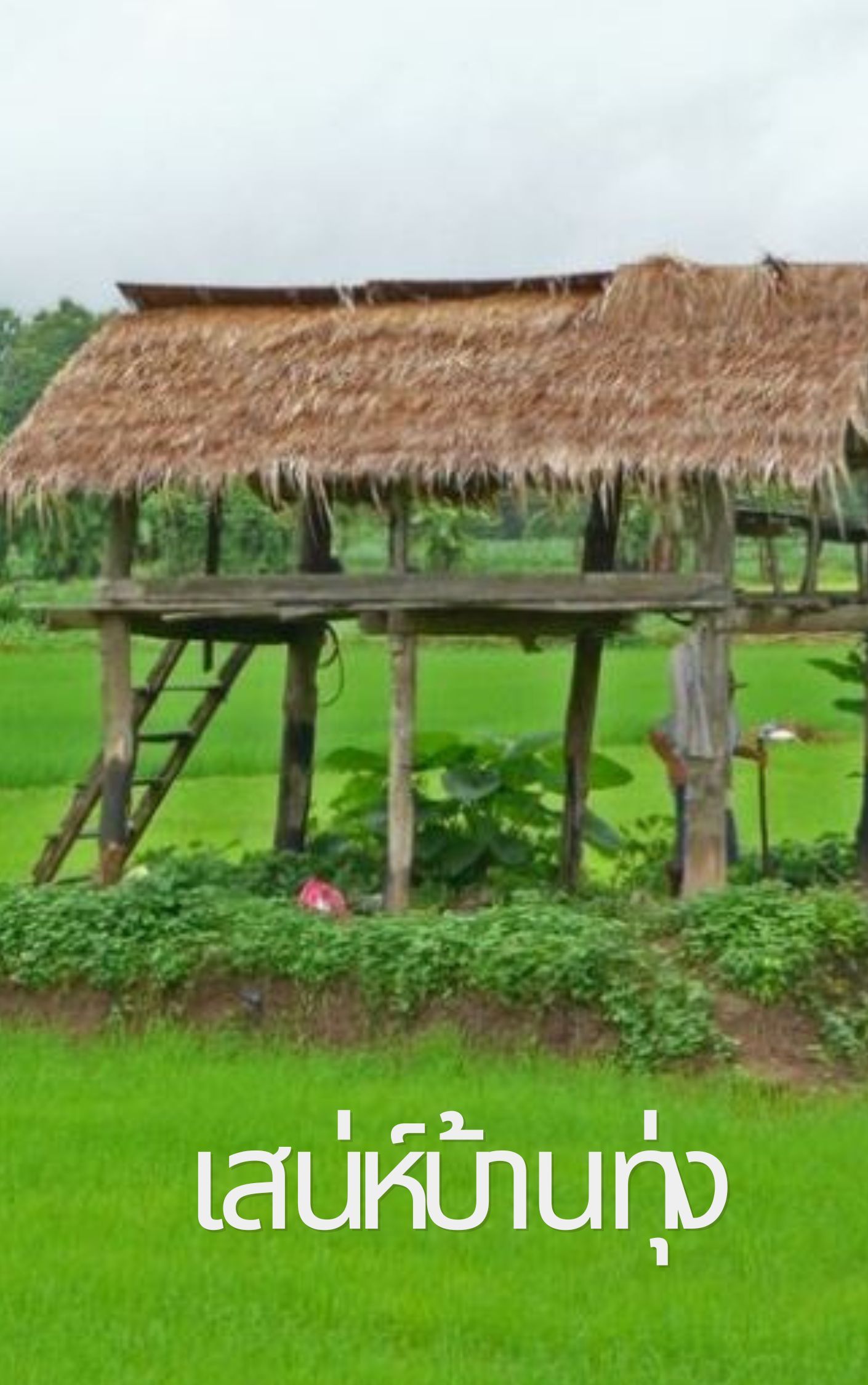 เสน่ห์บ้านทุ่ง