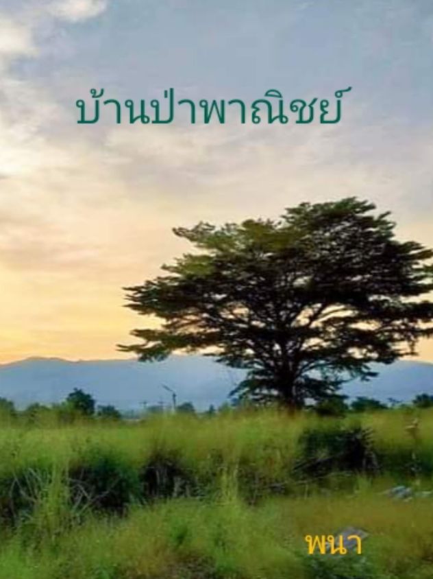 บ้านป่าพาณิชย์