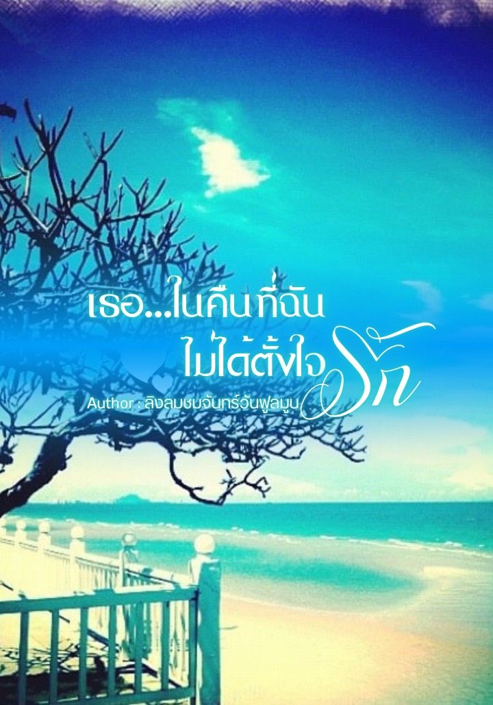 เธอ...ในคืนที่ฉันไม่ได้ตั้งใจรัก