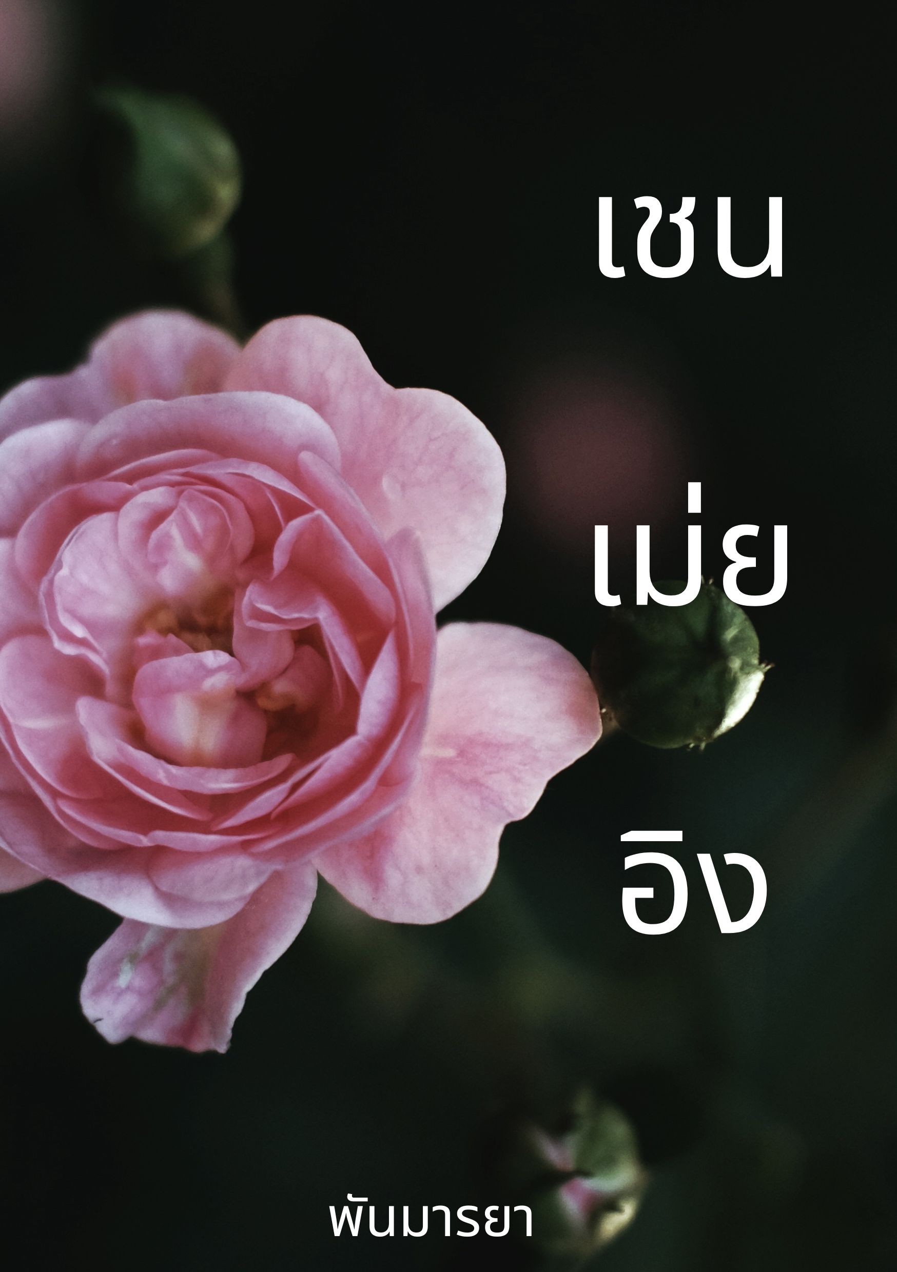 เชนเม่ยอิง