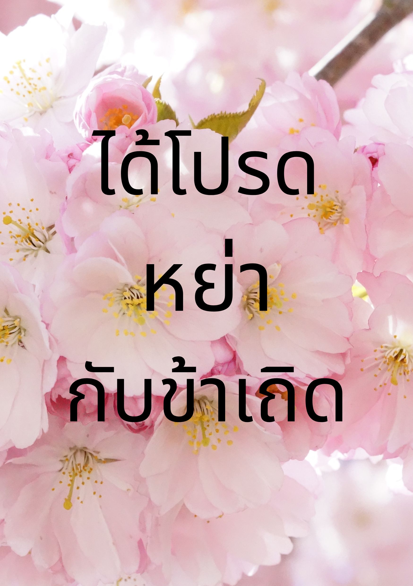ได้โปรดหย่ากับข้าเถิด