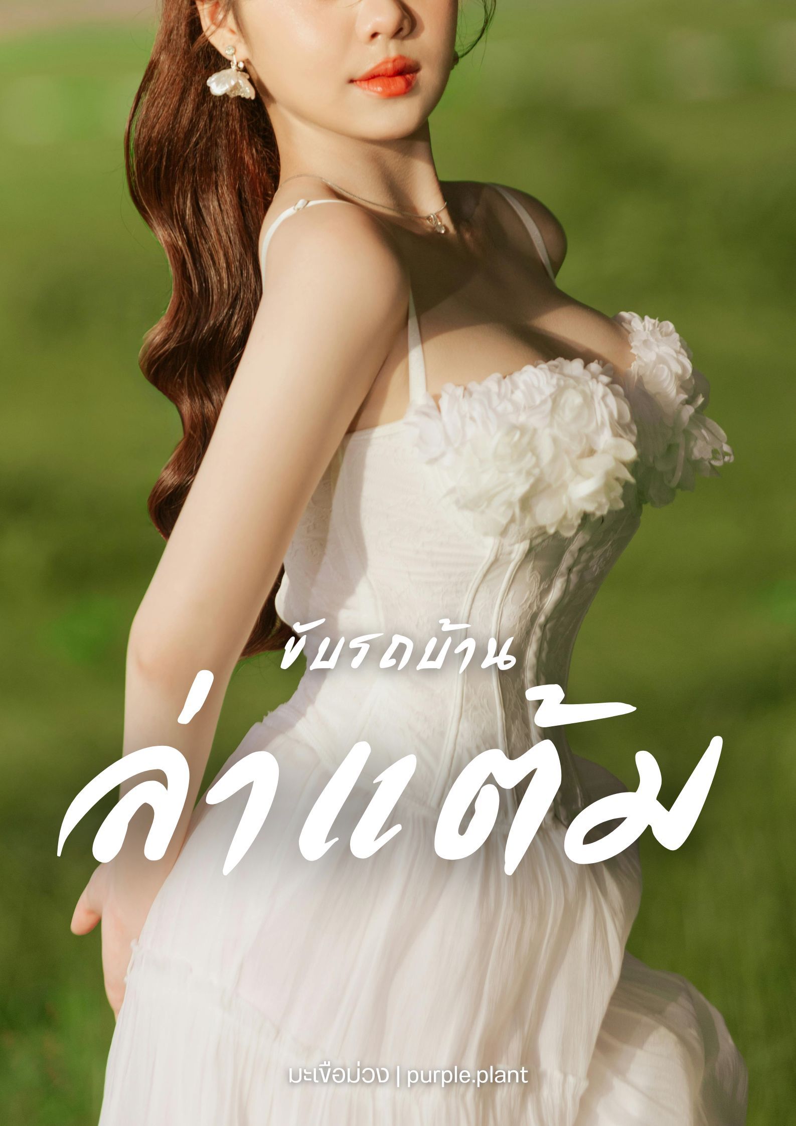 ขับรถบ้านล่าแต้ม