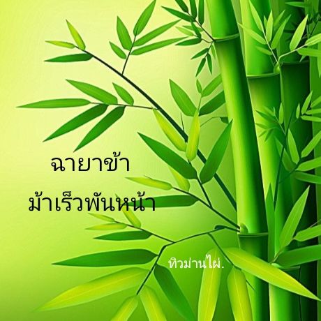 ฉายาข้า ม้าเร็วพันหน้า