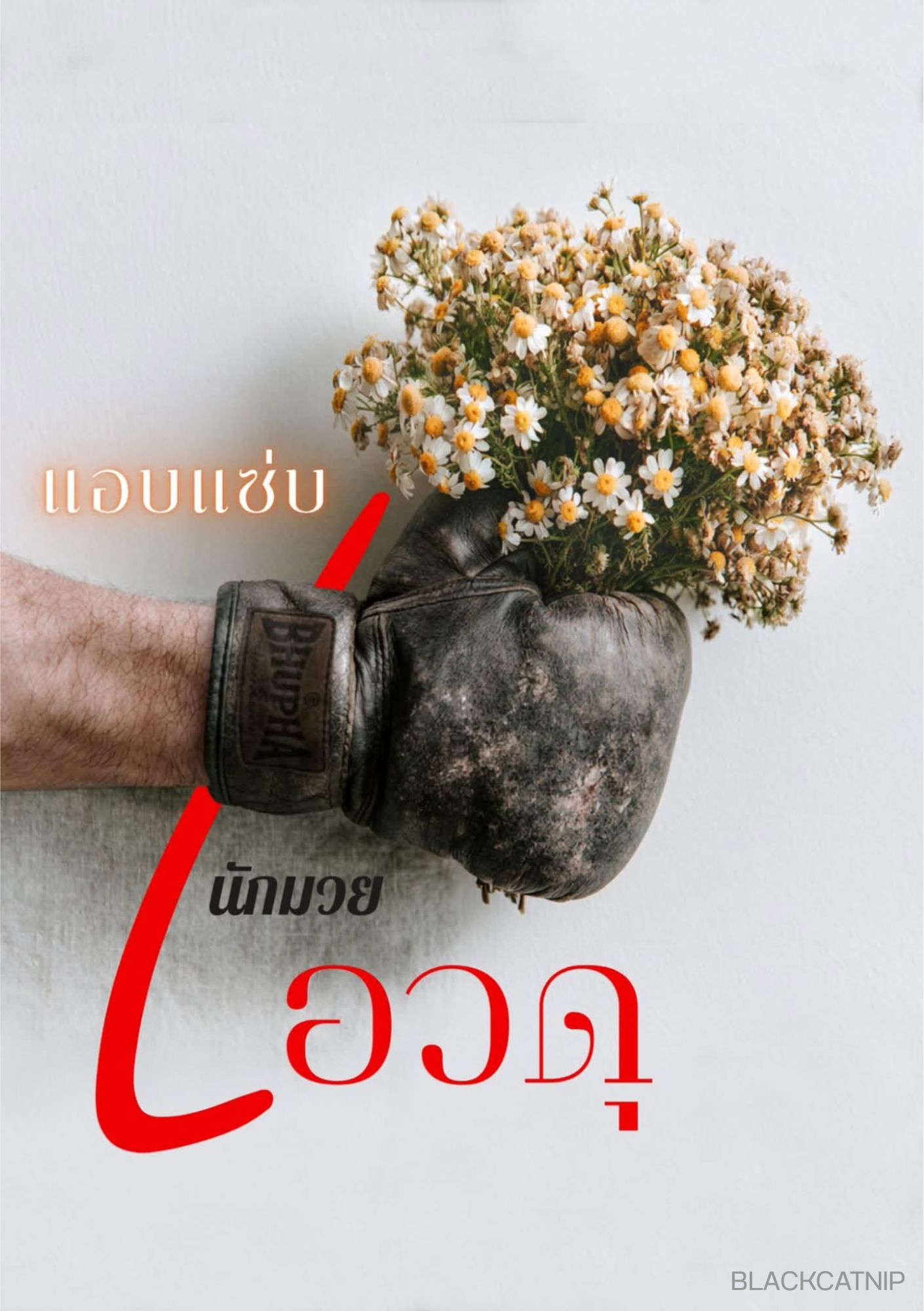 แอบแซ่บนักมวยเอวดุ l มี E-book