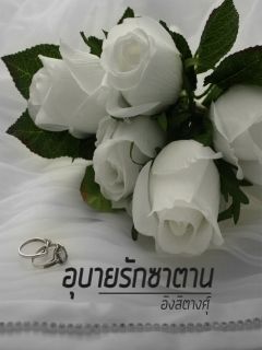 อุบายรักซาตาน [อิงสิตางศุ]